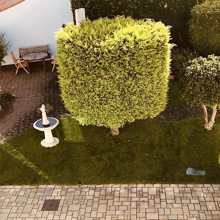 Casa Rehse I Stilvolles Apartment I 24H-Self-Check-In I Kostenlos Parken & Wlan I 55-Zoll-Smart&Kabel-Tv I Oepnv Erfurt Buitenkant foto